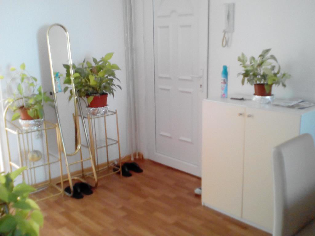 Alipasino Apartment *