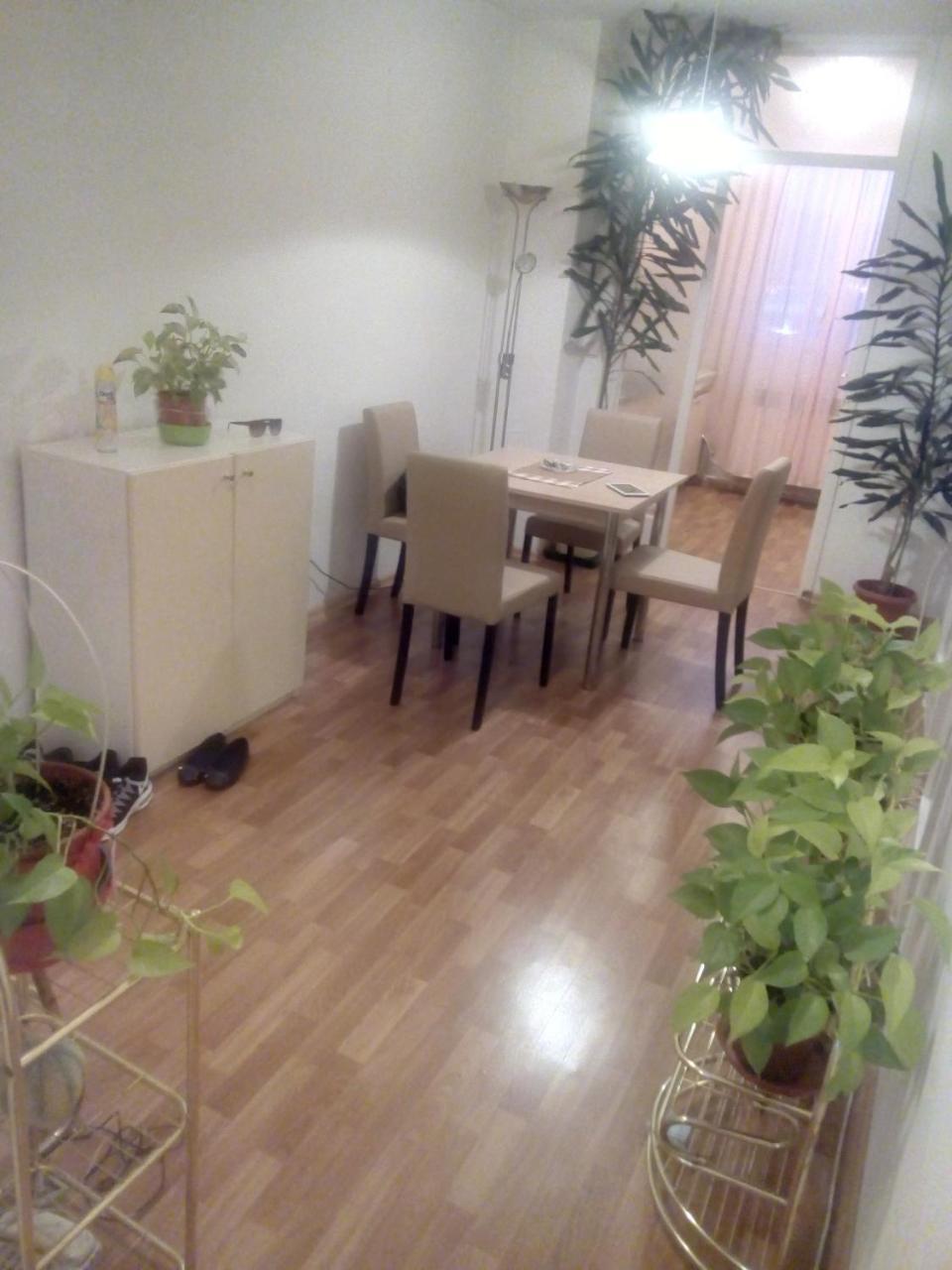 Alipasino Apartment